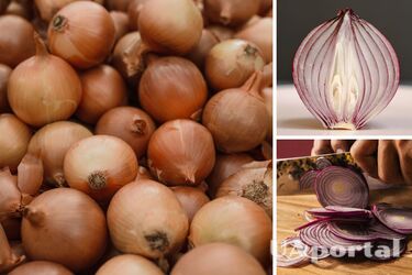 Як садити цибулю, щоб не гнила - чому в середині гниє цибуля