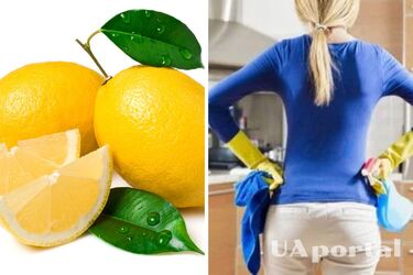 Избавляет от пыли и ароматизирует помещение: как приготовить чудо-средство из замороженного лимона