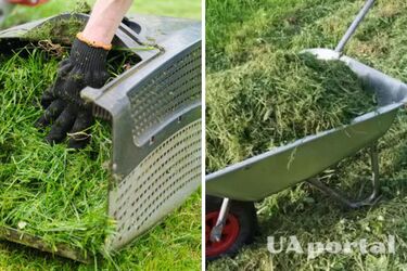 Топ-5 методів використання скошеної трави: поради городників