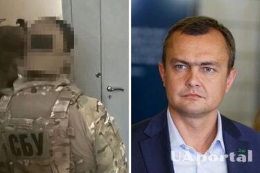 В паспорте визы из Мальдив: у отдыхавшего на островах депутата-слуги Аристова провели обыски (фото и видео)