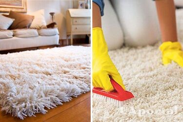 How to quickly remove unpleasant odors from carpet: an effective life hack with vinegar