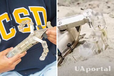 У США створили робота-черепаху, який здатен шукати людей у піску (відео)