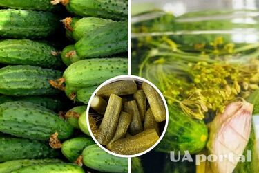 Самый простой рецепт соленых огурцов на зиму: не нужно консервировать