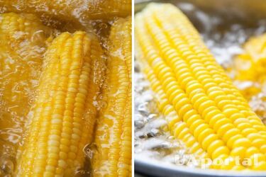 Як варити кукурудзу у воді з молоком, щоб вона була ніжною та смачною
