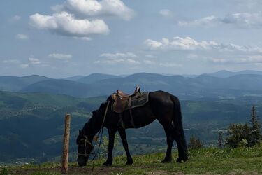 Место силы в Карпатах: чем заняться в Славском, в любую погоду