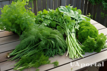 Как сохранить зелень свежей