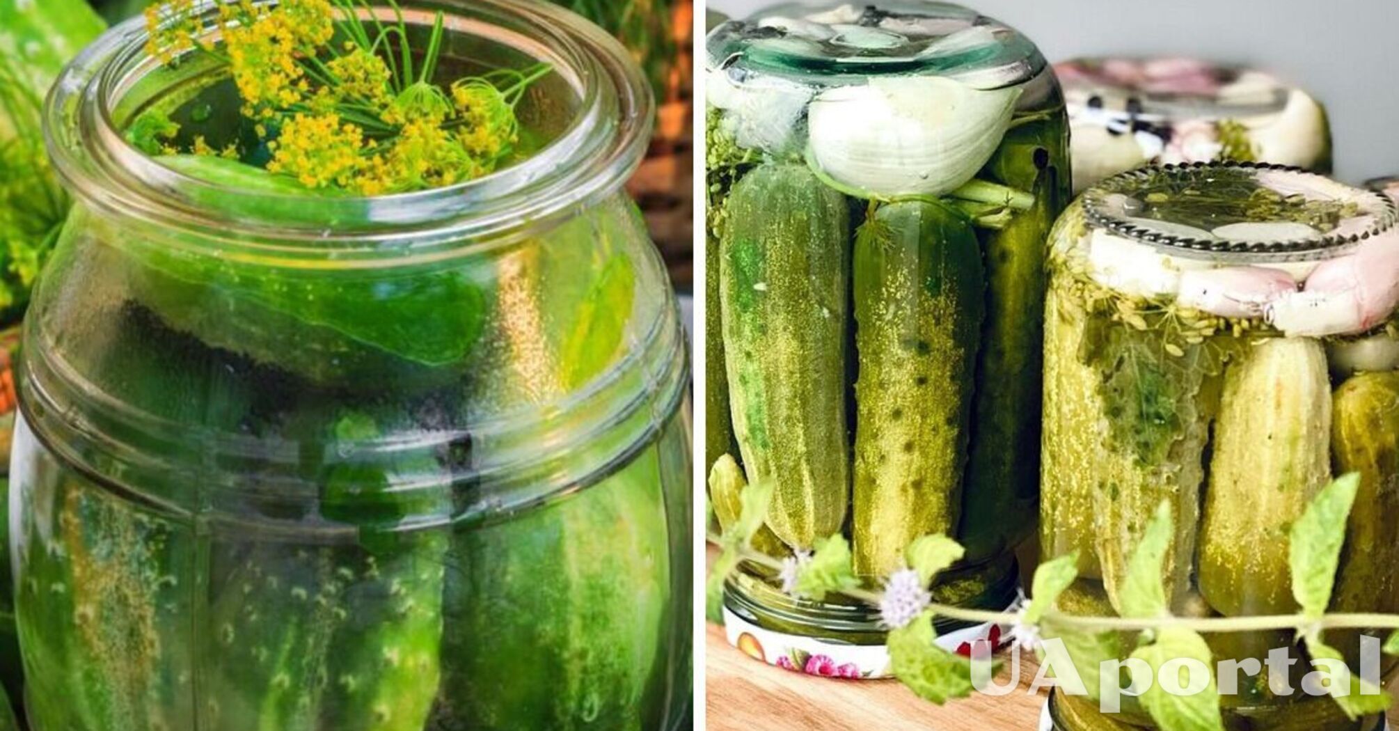 Консервация. Огурчики