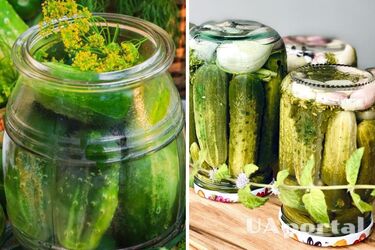 Как сделать маринованные огурцы без уксуса, сахара и стерилизации