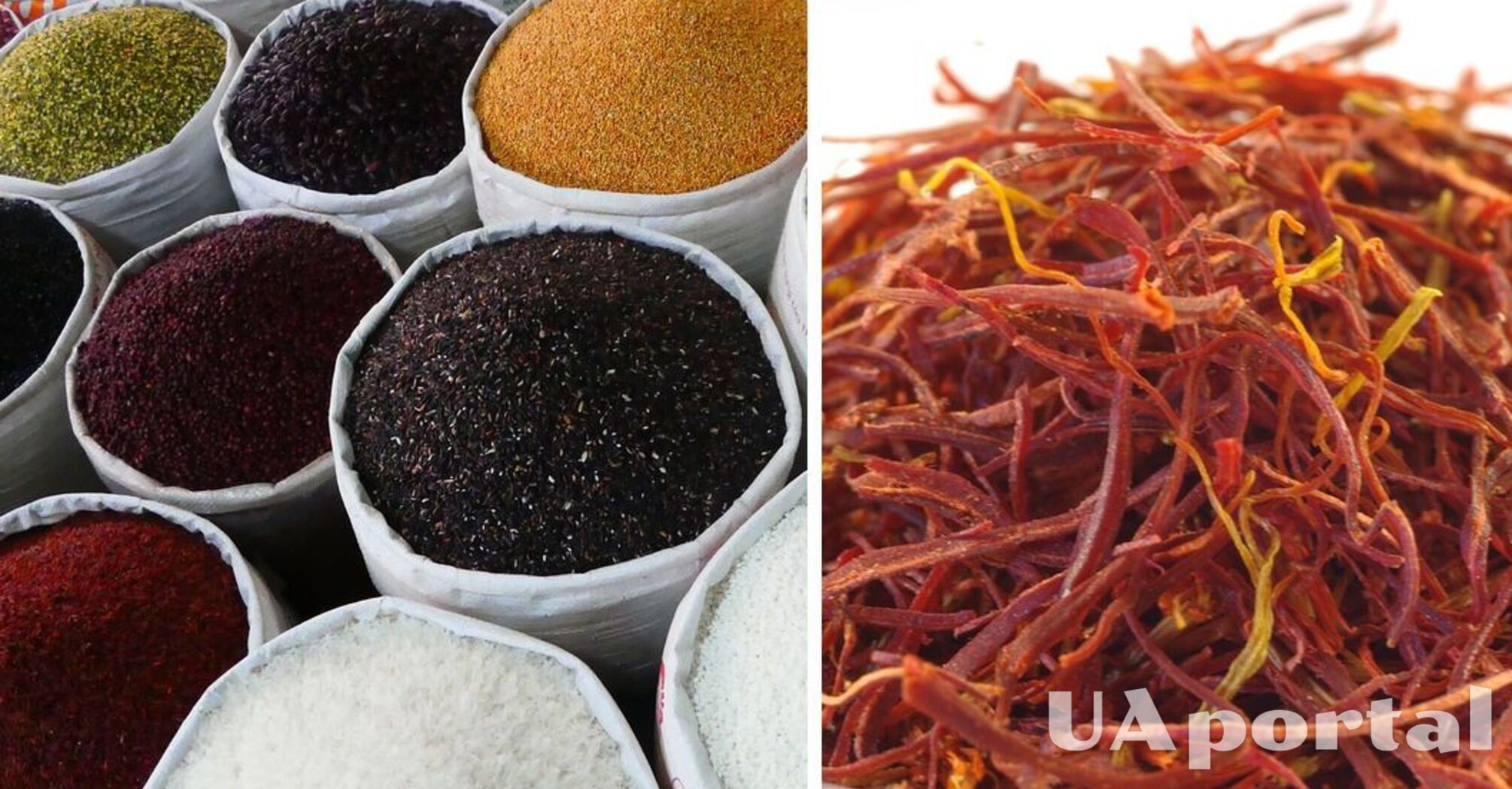 Experts explain how to distinguish real saffron: what to look for