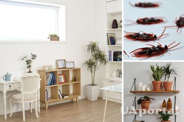 How to understand that there is bad energy in the house