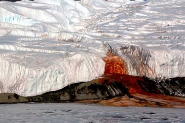 Вчені розкрили таємницю 'кривавого водоспаду' в Антарктиді (відео)