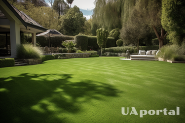 Как часто нужно косить траву: советы садовников для идеального газона