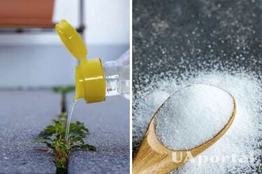 How to clean moss and weeds from cobblestones - how to wash cobblestones at home