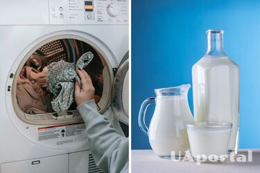 How to remove old grease stains from clothes - how milk affects stains and and which ones it removes