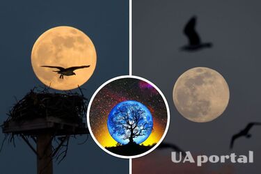 В августе можно будет увидеть редкую голубую луну: не упустите дату