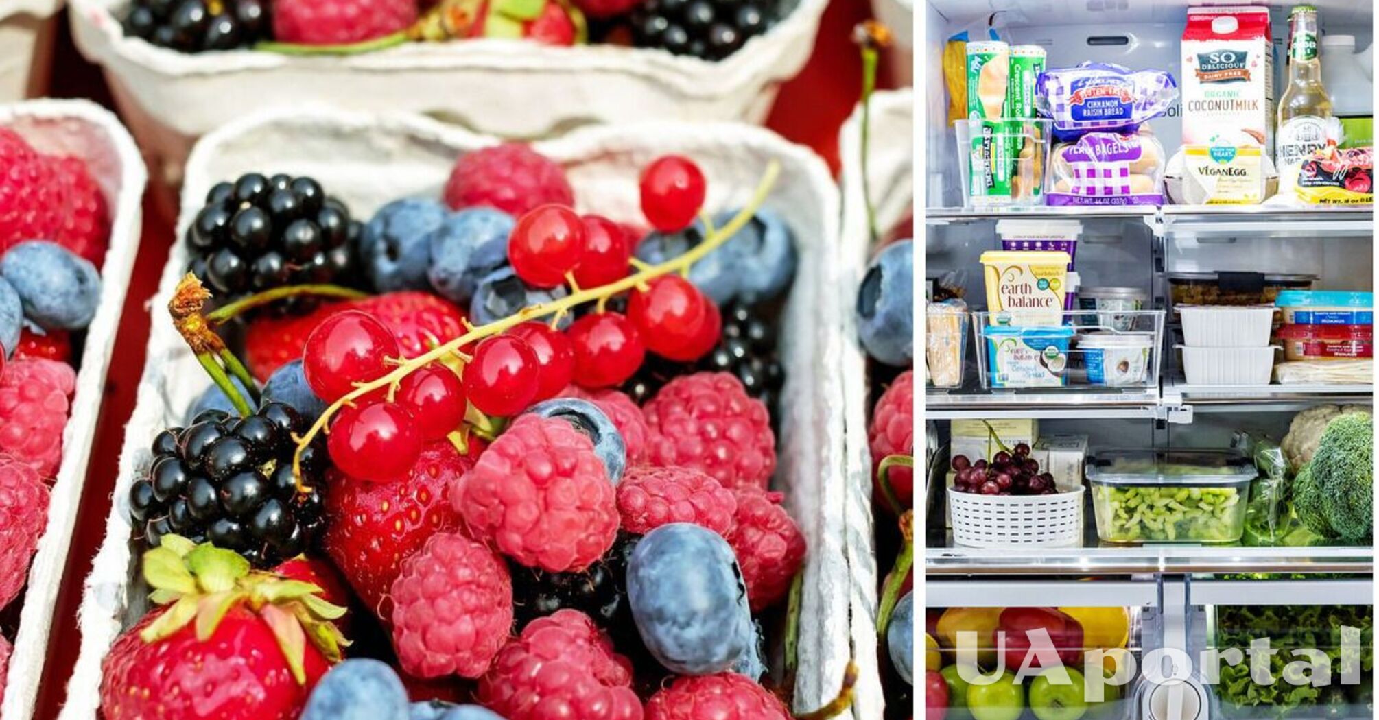 Як правильно зберігати ягоди в холодильнику