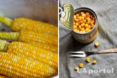 Как законсервировать кукурузу в домашних условиях: рецепт от хозяйок