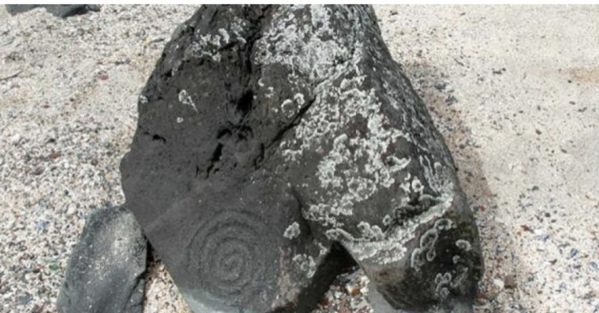Вчені розгадали таємниці петрогліфів віком 8000 років на Алясці: найдавніші форми людського самовираження 