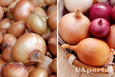 Коли викопувати цибулю