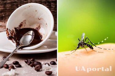 How to repel mosquitoes by burning coffee grounds