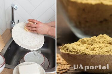 Как мыть тарелки в холодной воде