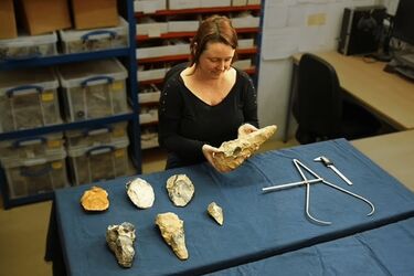 Giant stone axes 300,000 years old unearthed in Britain (photo)