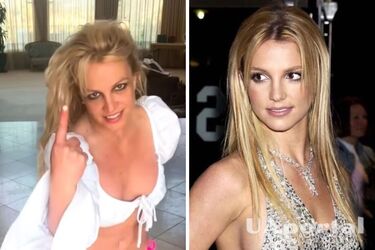 Думал, что фанатка: охранник баскетболиста ударил Бритни Спирс (видео)