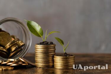 How to become smarter and richer