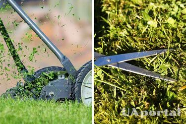 Gardeners named the main mistakes that cause the lawn to become stained
