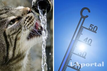 Украинцев предупредили о жаре +40: какие области под угрозой