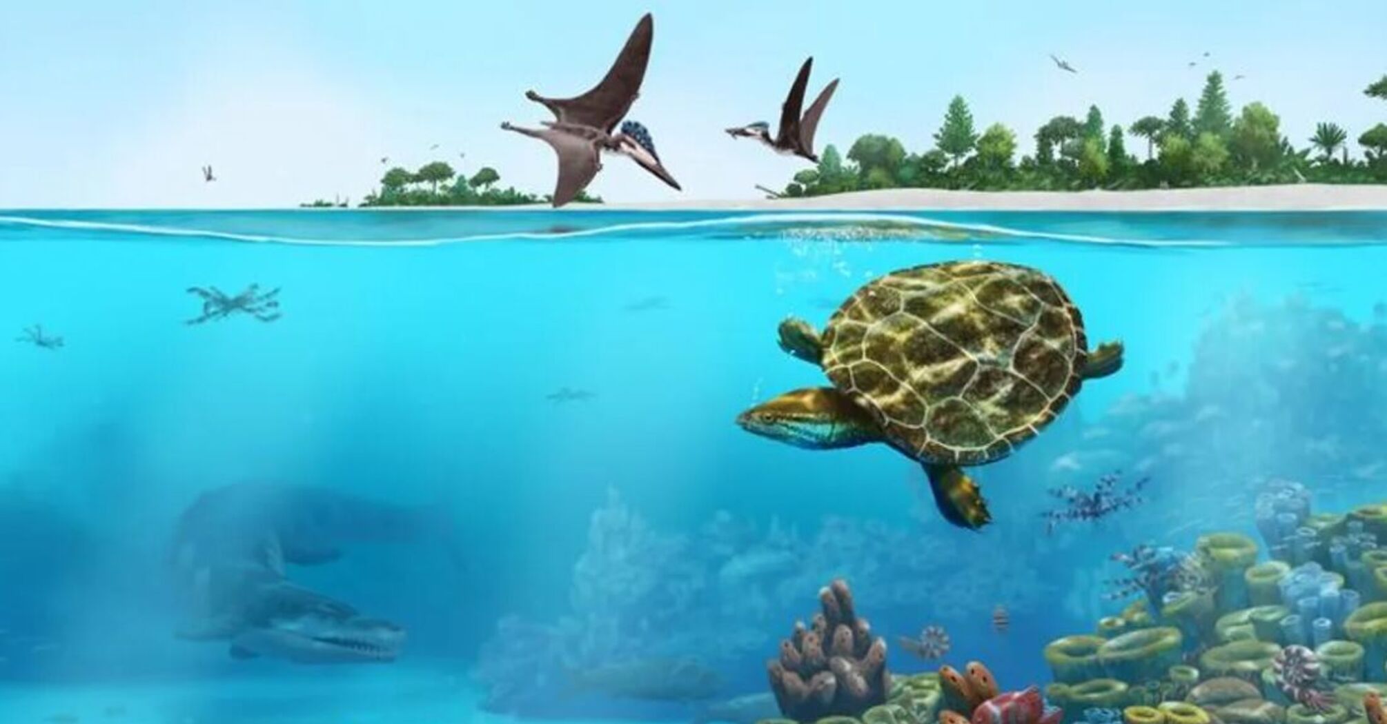 У Німеччині знайшли скам'янілу черепаху, якій 150 мільйонів років (фото)