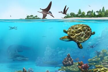 У Німеччині знайшли скам'янілу черепаху, якій 150 мільйонів років (фото)