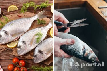 Як зняти шкіру з червоної риби за 2 хвилини: топ-4 геніальних лайфхаки