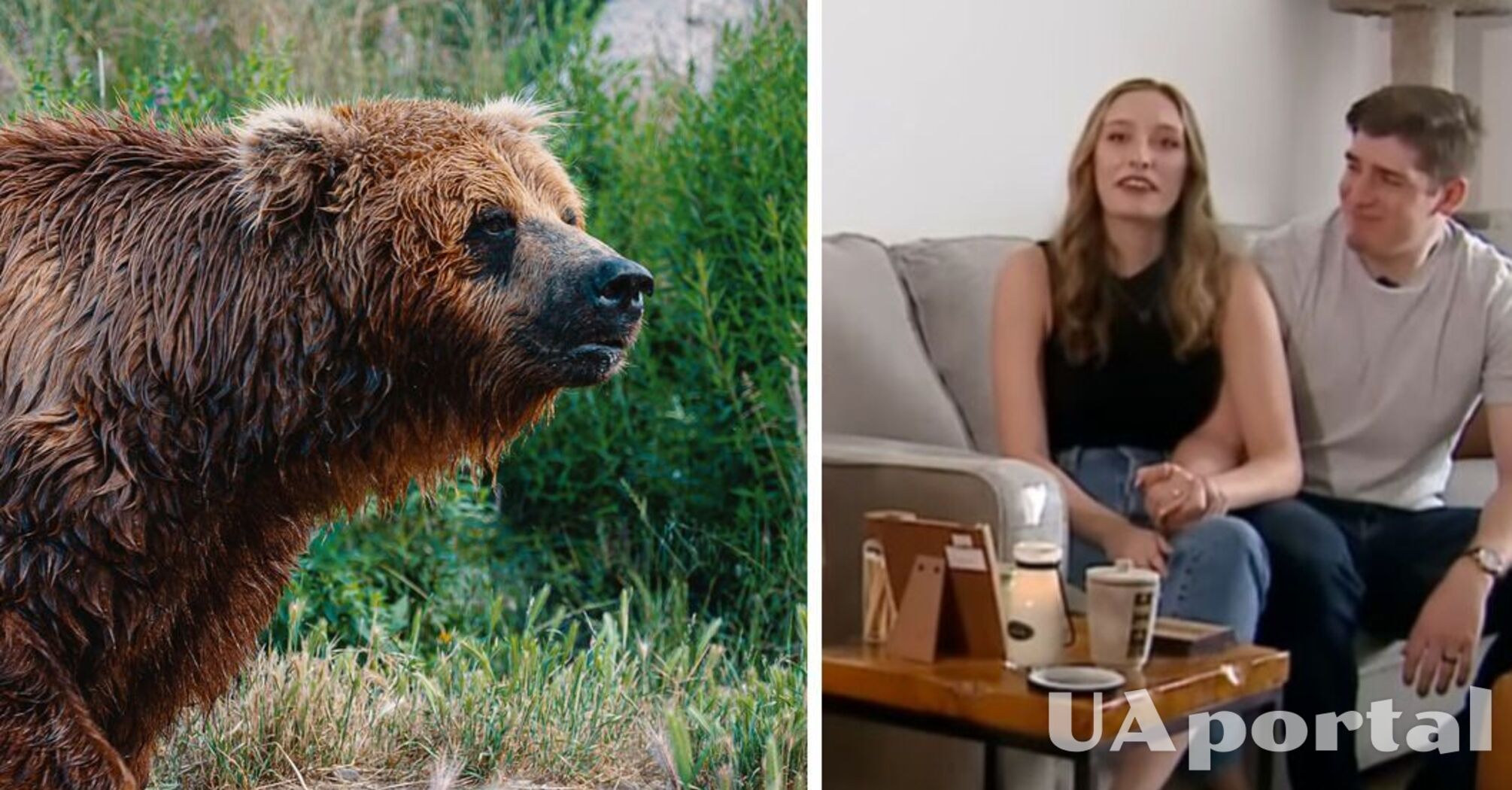 Bear in the US disrupts a wedding when it breaks in for dessert (video)