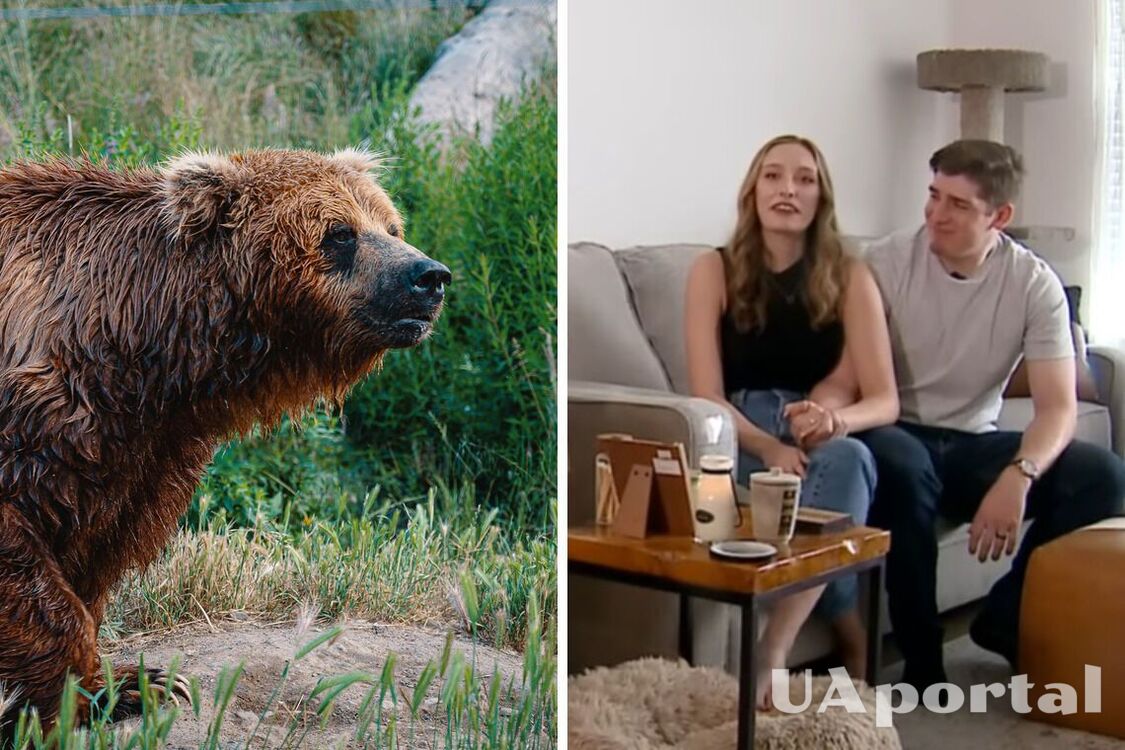 Bear in the US disrupts a wedding when it breaks in for dessert (video)