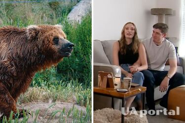 Ведмідь у США розігнав весілля, коли увірвався 'за десертом' (відео)