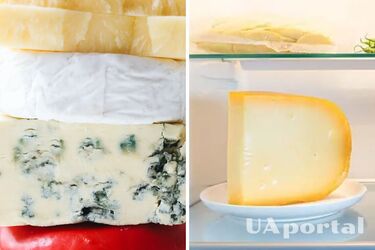 How long to store cheese so that it does not spoil - how long can you store hard cheese in the fridge