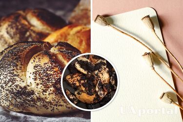 Главное блюдо на Маковея: как приготовить ломанцы или шулики с маком