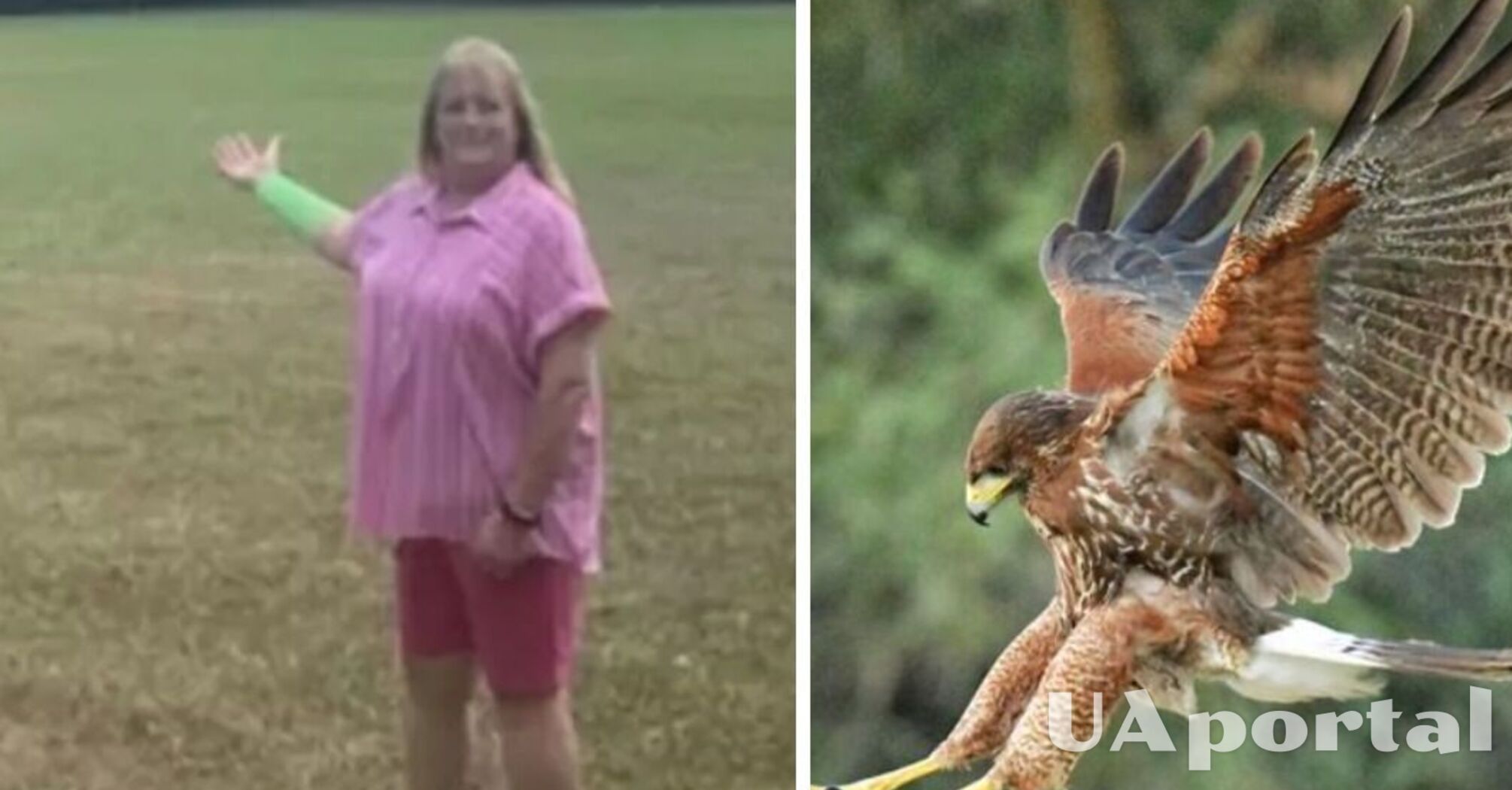 In the USA, a snake fell on a woman from the sky and then she was attacked by a hawk (photo)