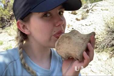 Why archaeologists lick stones