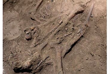 Ученые нашли скелет человека в возрасте 31 тысяч лет, которому была проведена успешная ампутация ноги