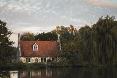 Какие деревья могут принести несчастье ТЕСТ