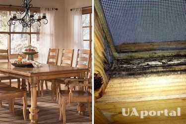 How to clean wooden furniture from mould