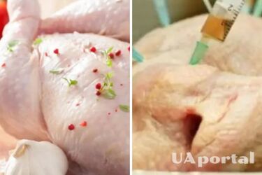 Как правильно готовить курицу, чтобы в ней не осталось антибиотиков: два совета от специалистов