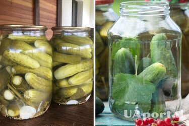 Як вибирати огірки для консервації та маринування