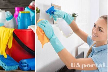 How to replace professional household chemicals: folk remedies