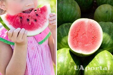 Чи небезпечно їсти ранні кавуни