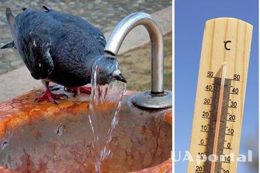 Американські вчені прогнозують, що аномальна спека у світі може тривати до лютого 2024 року