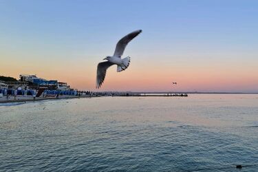 Що потрібно знати про пляжі в Одесі, які відкрилися на сезон 2023: Як дістатися, правила та обмеження