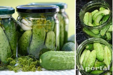 Как замариновать огурцы без уксуса на зиму
